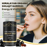 HWAXIGO Shilajit Gummies with fresh ginger and papaya