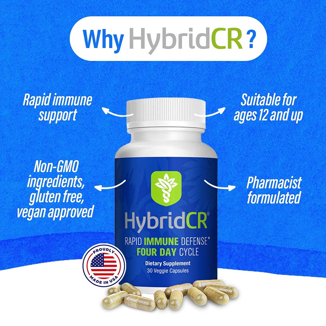 Hybrid Remedies Echinacea Capsules back view with ingredient list