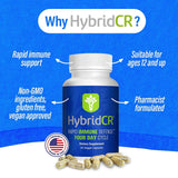 Hybrid Remedies Echinacea Capsules back view with ingredient list