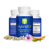Hybrid Remedies Echinacea Capsules front view