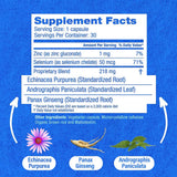 Hybrid Remedies Echinacea Capsules with packaging