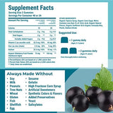 Hyland's Kids Organic Elderberry Plus Gummies back view with ingredients