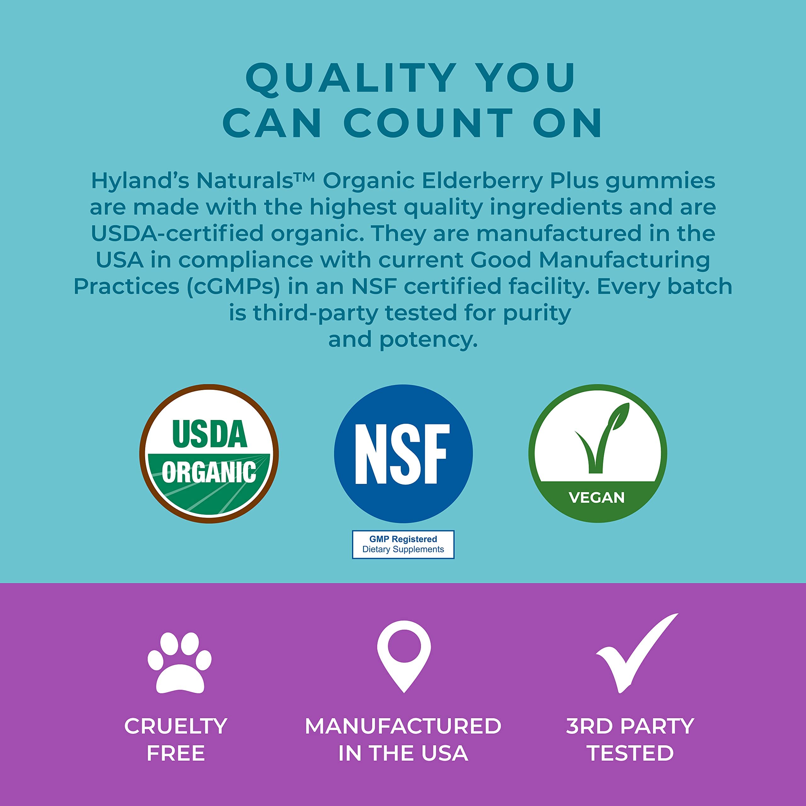 Hyland's Organic Elderberry Plus Gummies ingredients list