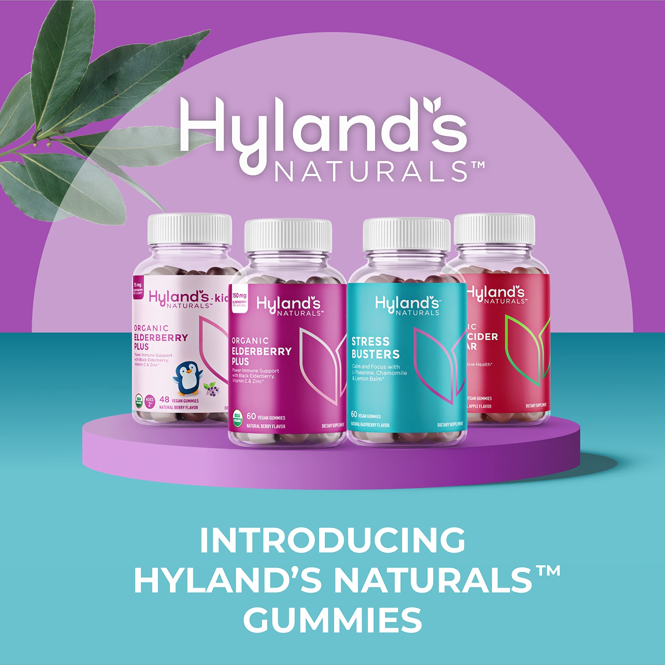 Hyland's Organic Elderberry Plus Gummies nutritional information