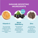 Hyland's Organic Elderberry Plus Gummies with fresh elderberries