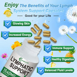 Hywebvctok Lymphatic Drainage Supplements 1540mg on a wooden table