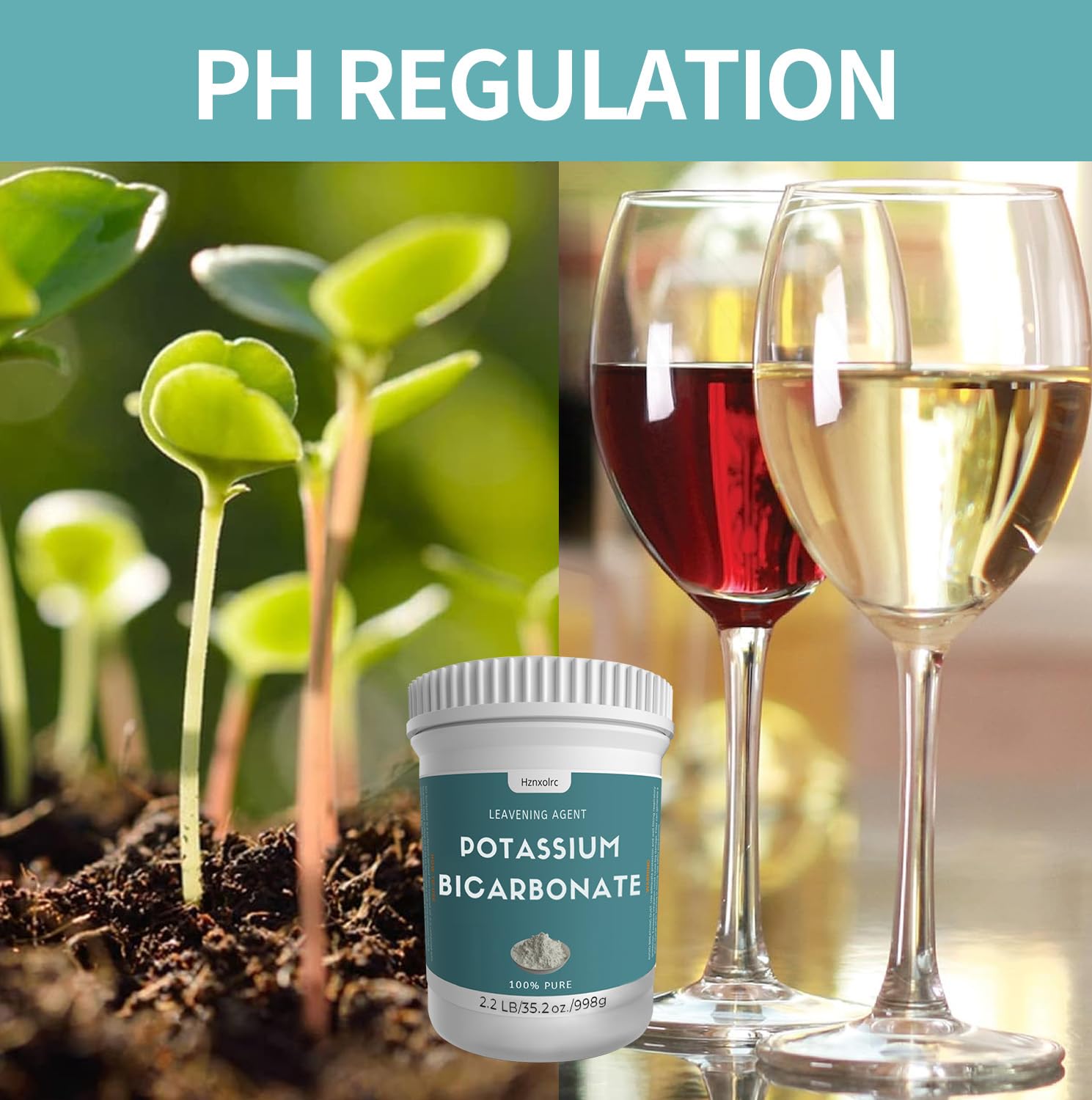 Hznxolrc Potassium Bicarbonate Powder 998g with baking ingredients