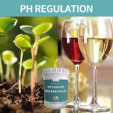 Hznxolrc Potassium Bicarbonate Powder 998g with baking ingredients