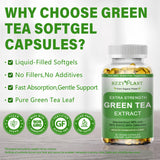 HZZYPLANT Green Tea Extract Softgels back view with ingredient list