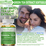 HZZYPLANT Green Tea Extract Softgels showing liquid-filled softgel