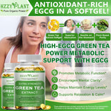 HZZYPLANT Green Tea Extract Softgels side view with dosage information
