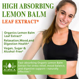 HZZYPLANT Lemon Balm Tincture 5g dropper close-up