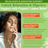 HZZYPLANT Lemon Balm Tincture 5g with ingredients