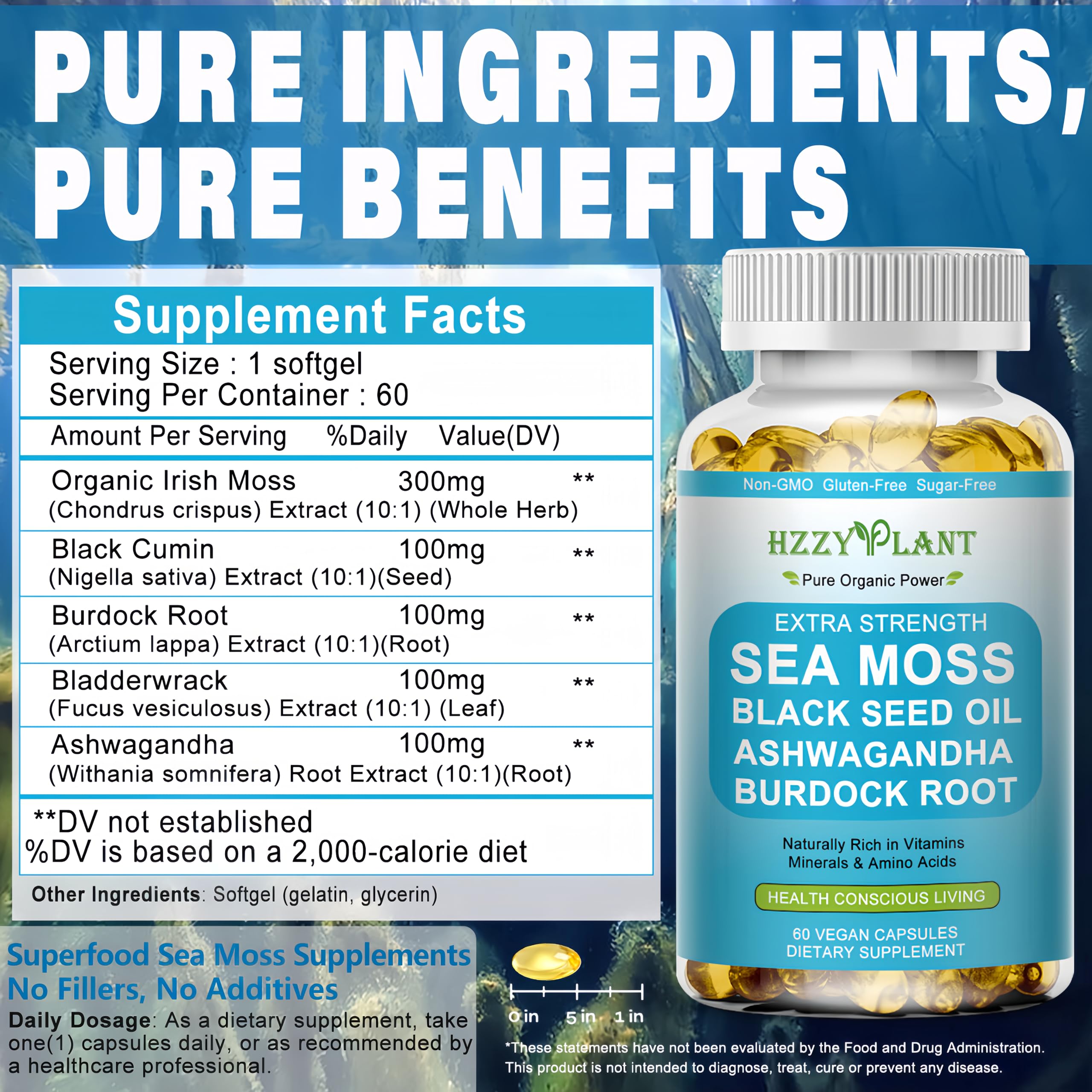 HZZYPLANT Sea Moss Softgels close-up of ingredients
