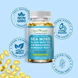 HZZYPLANT Sea Moss Softgels in a lifestyle setting