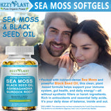 HZZYPLANT Sea Moss Softgels showing liquid-filled capsule