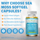 HZZYPLANT Sea Moss Softgels side view with dosage information