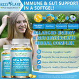 HZZYPLANT Sea Moss Softgels with black seed oil and ashwagandha