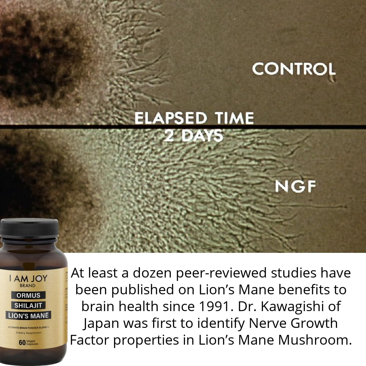 I Am Joy co. Gold Supplement with Lion's Mane mushroom