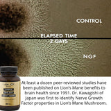 I Am Joy co. Gold Supplement with Lion's Mane mushroom