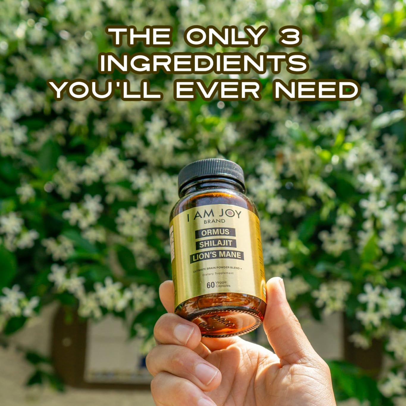 I Am Joy co. Gold Supplement with Shilajit extract