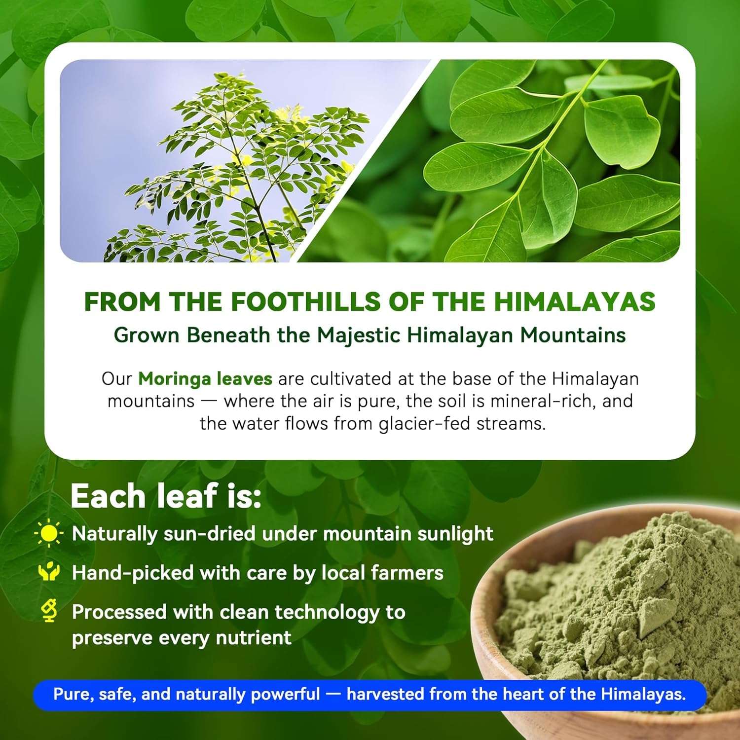 I LOVE HEALTH Moringa Leaf Extract Capsules 1000mg side view