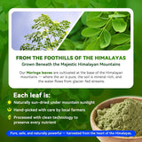 I LOVE HEALTH Moringa Leaf Extract Capsules 1000mg side view