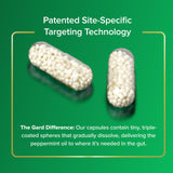 IBgard Daily Supplement with Vitamin D 32g capsules packaging