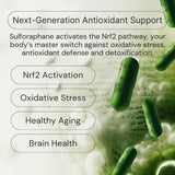 Ideal Wellness Sulforaphane Supplement 10mg capsule opened