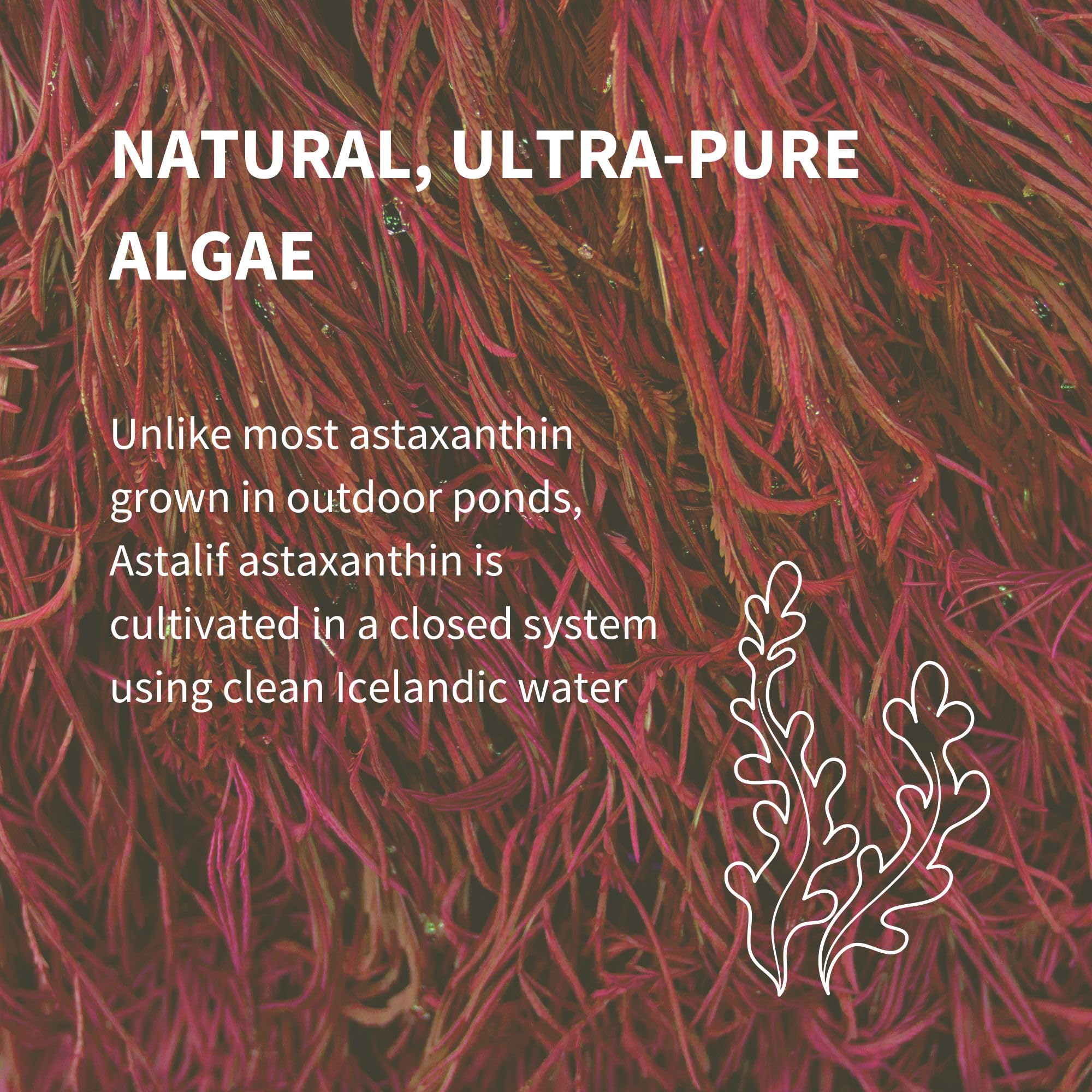 Igennus Astaxanthin Capsules 4mg packaging