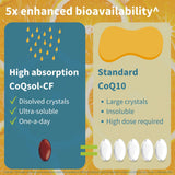 Igennus CoQsol-CF CoQ10 100mg Softgel side view