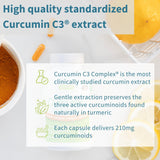 Igennus Curcumin C3 Complex packaging with ingredients
