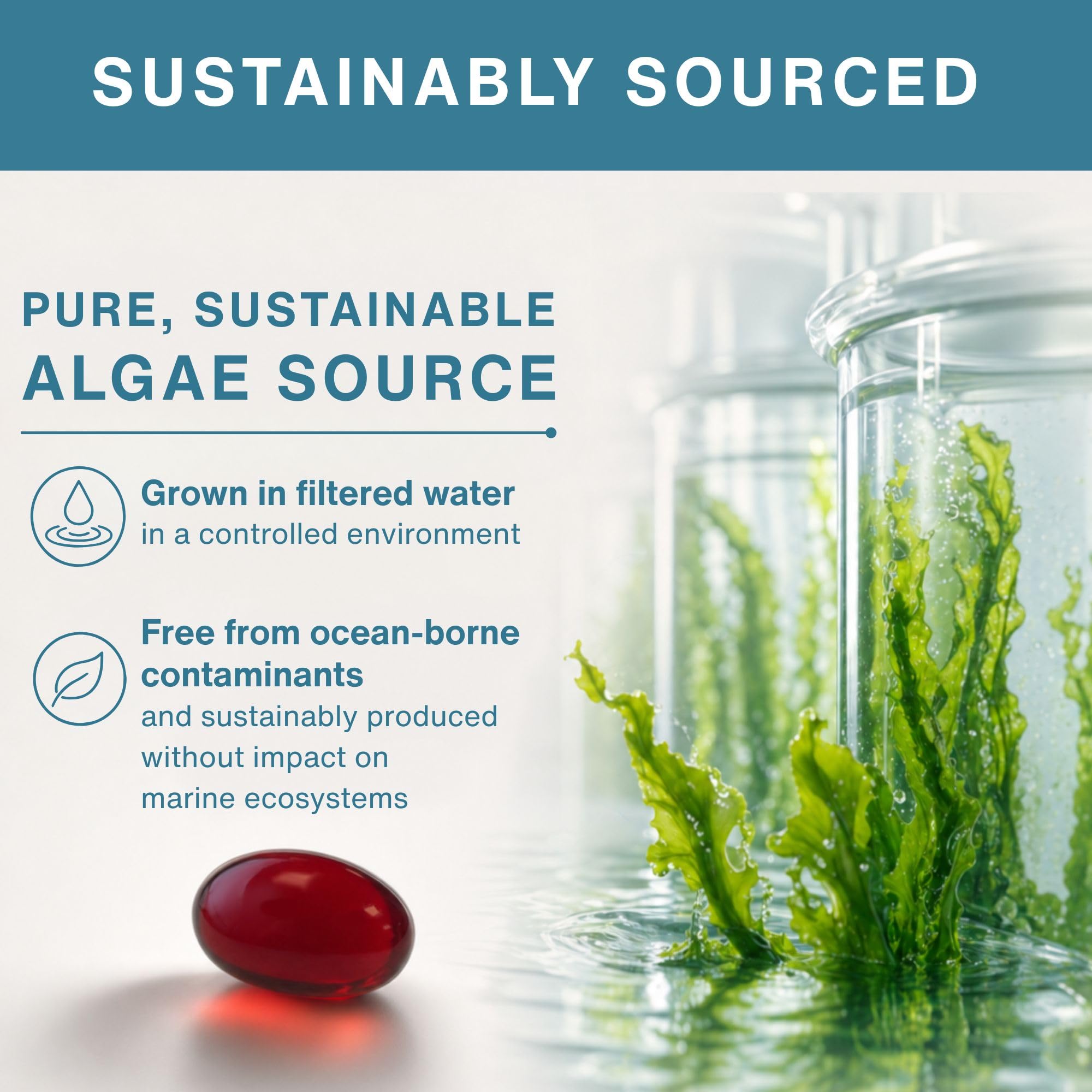 Igennus Omega-3 Algae Oil softgel bottle side view