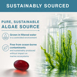 Igennus Omega-3 Algae Oil softgel bottle side view