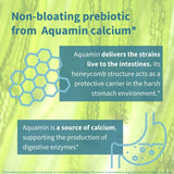 Igennus Probiotic Acidophilus Capsules capsule close-up