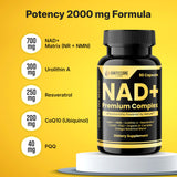 IgniteCore Labs NAD+ Premium Complex 700mg capsule close-up