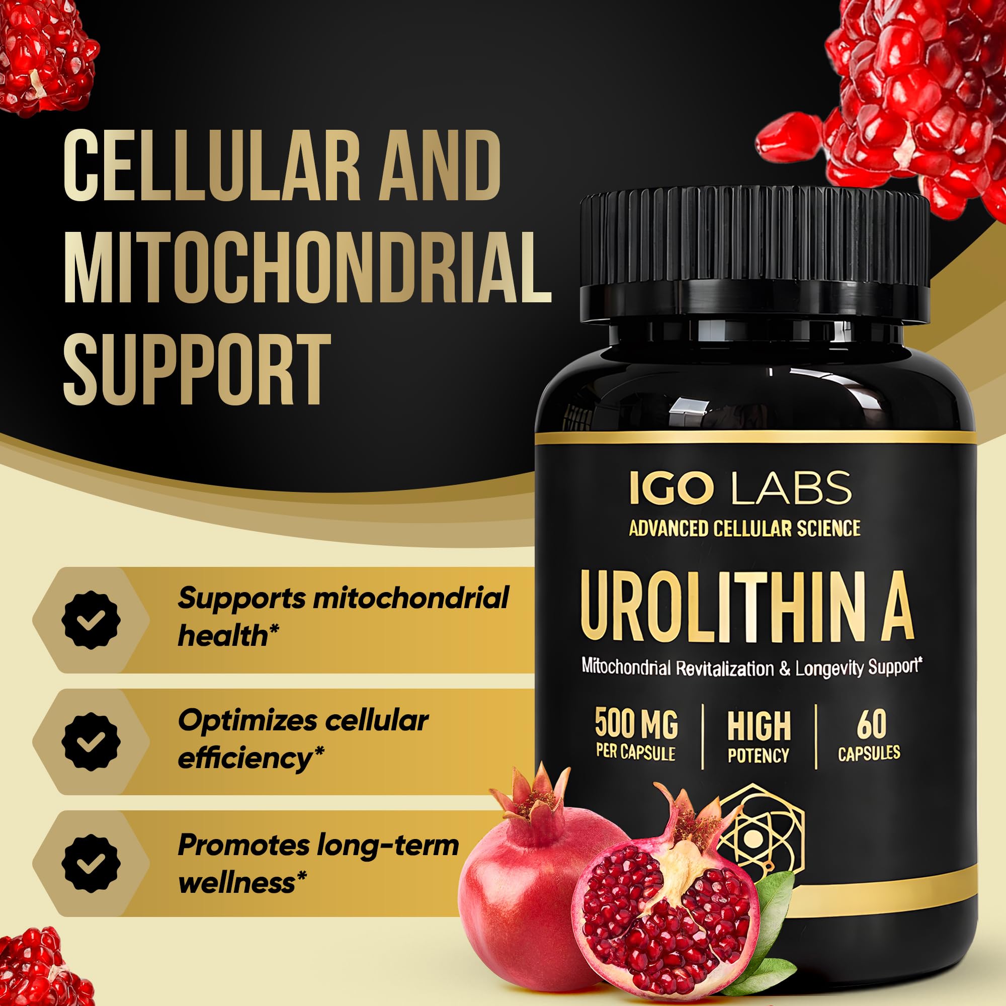 Igo Labs Urolithin A capsules on a wooden table