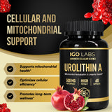 Igo Labs Urolithin A capsules on a wooden table