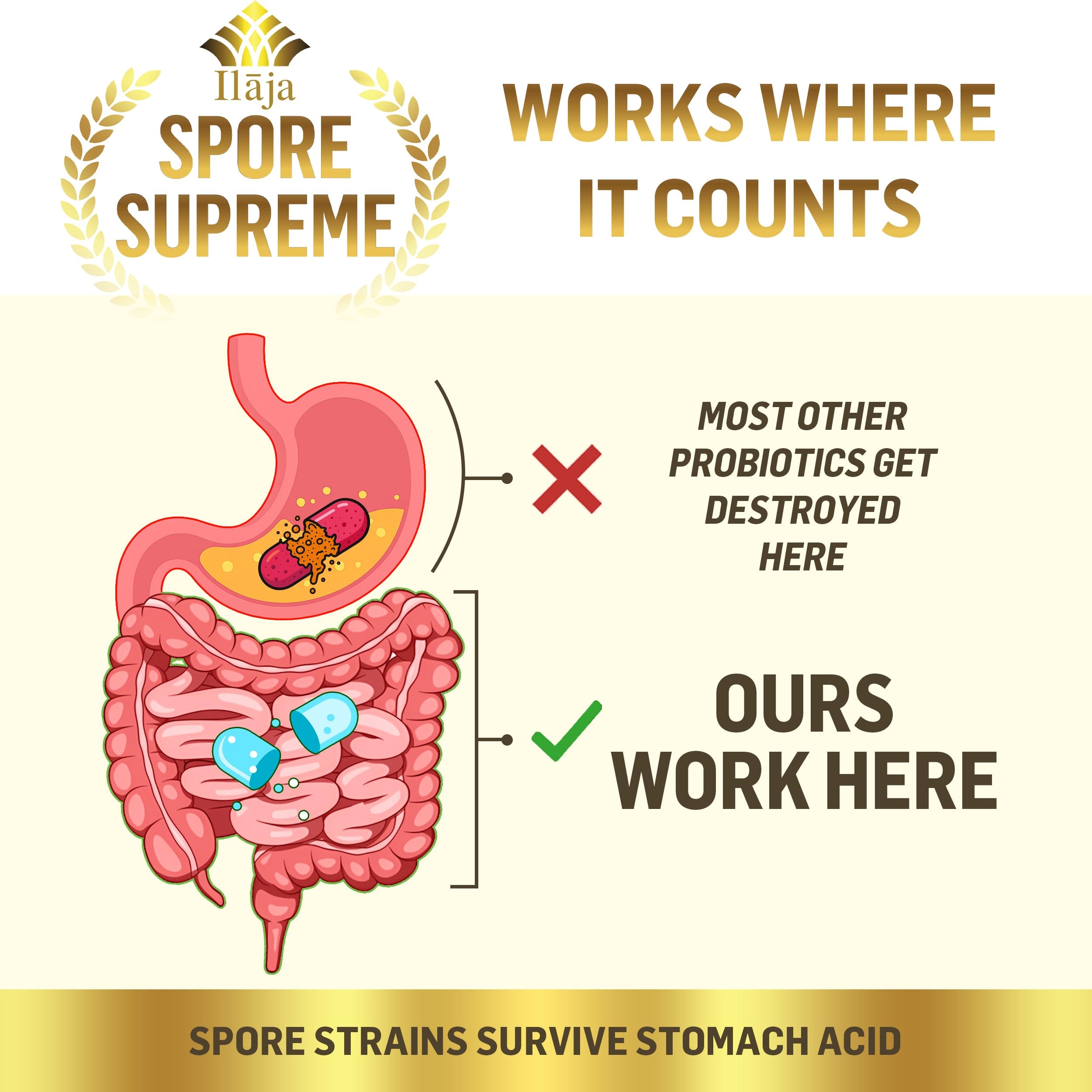ILAJA Spore Based Probiotic Capsules with a measuring spoon