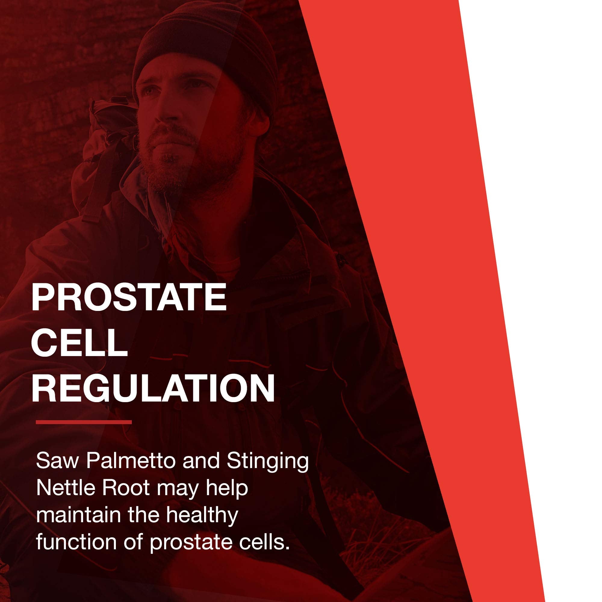Image of ingredients in PROTOCOL FOR LIFE BALANCE Saw Palmetto Prostate Support 160mg softgels