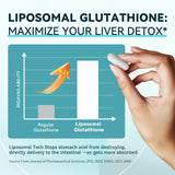 iMATCHME Echinacea Lymphatic Support Capsules close-up