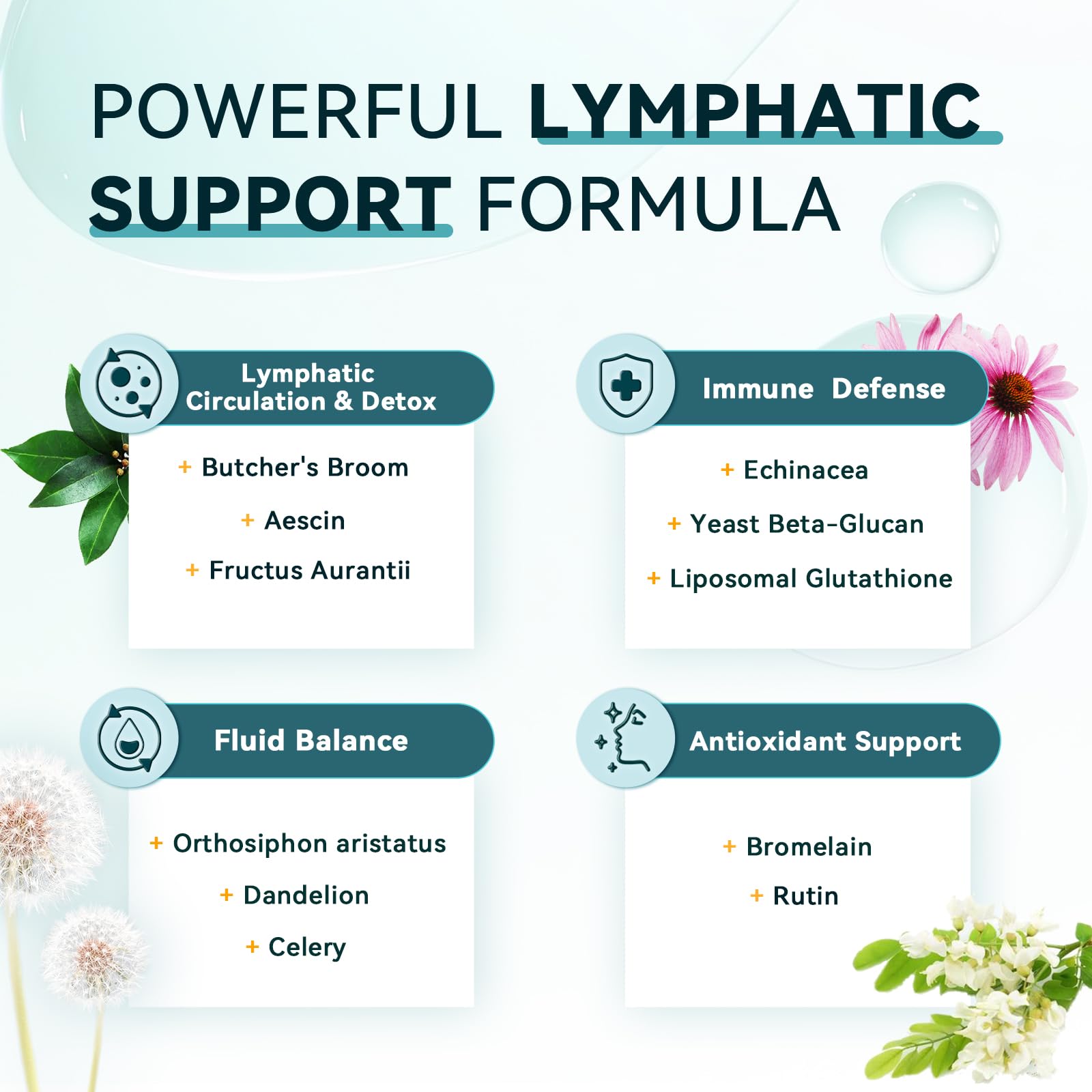 iMATCHME Echinacea Lymphatic Support Capsules with ingredients