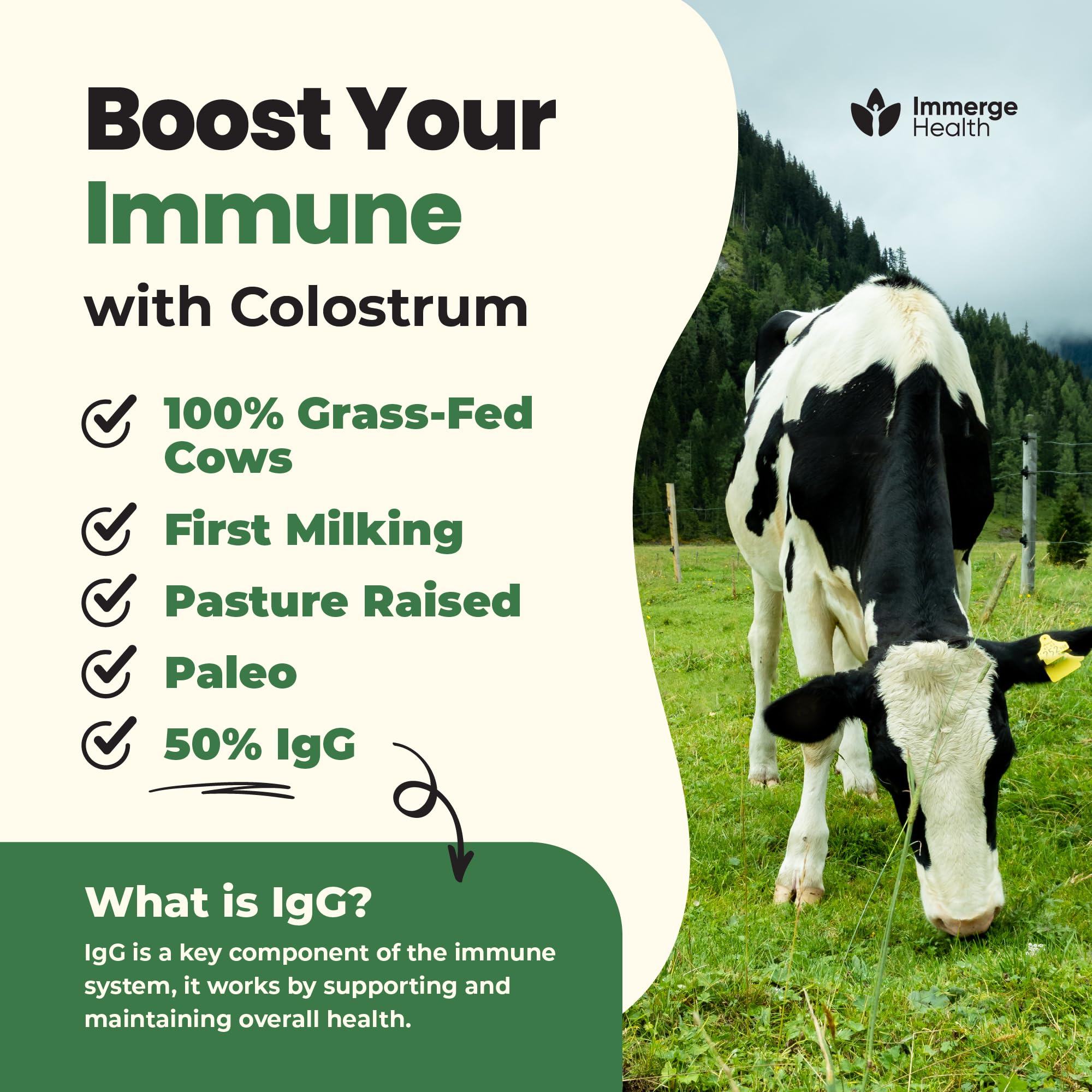 ImmergeHealth.com Colostrum Powder in a glass of water