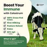 ImmergeHealth.com Colostrum Powder in a glass of water