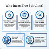 Incas Organic Blue Spirulina Powder in a glass jar