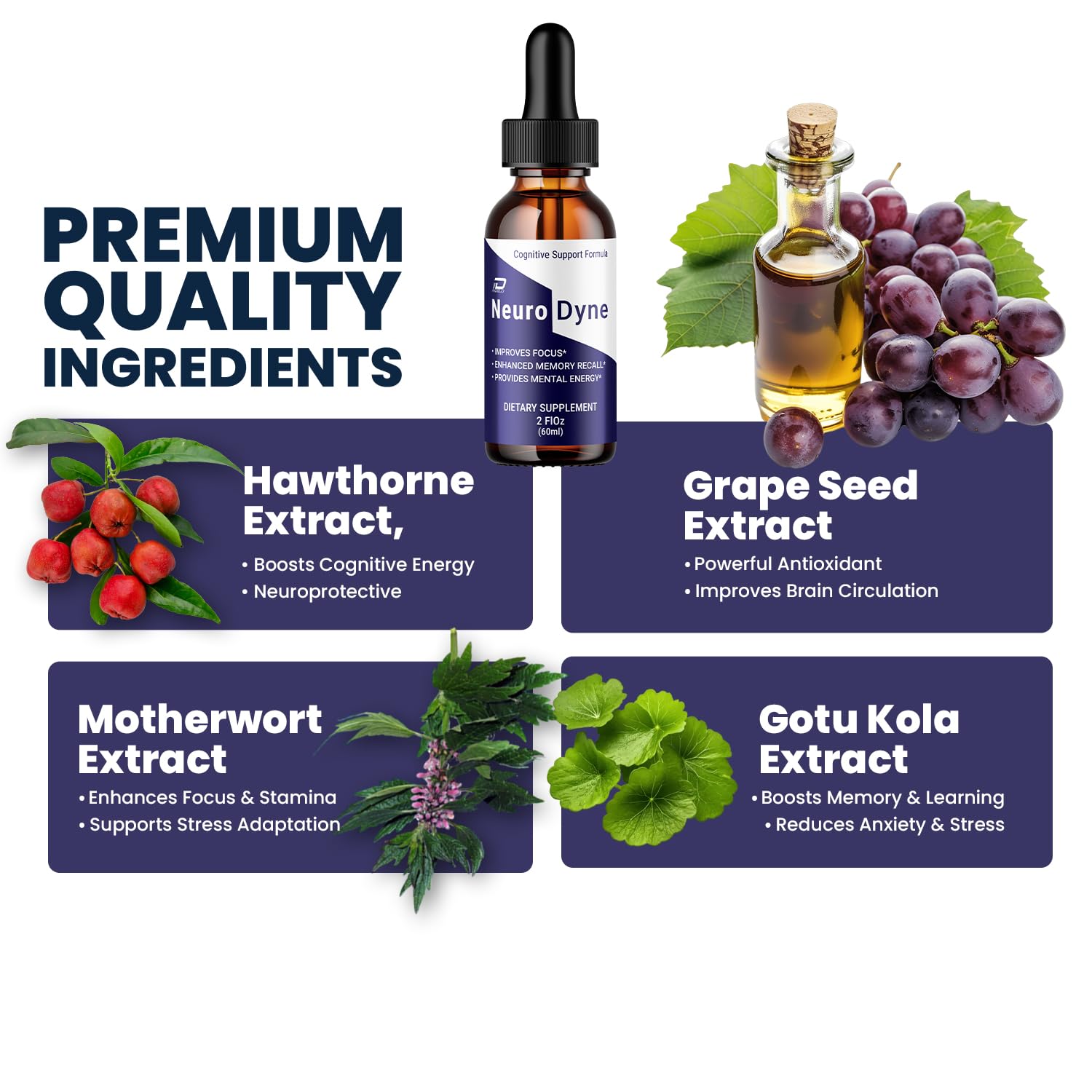 Indelo Neurodyne Liquid Drops lifestyle scene on kitchen counter