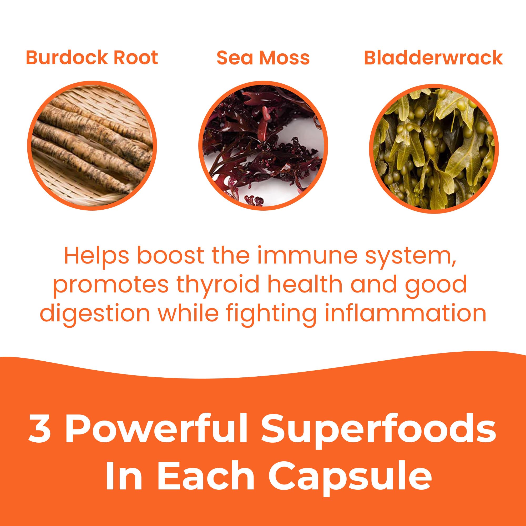 INFINITE AGE Sea Moss Capsules with a measuring spoon for dosage