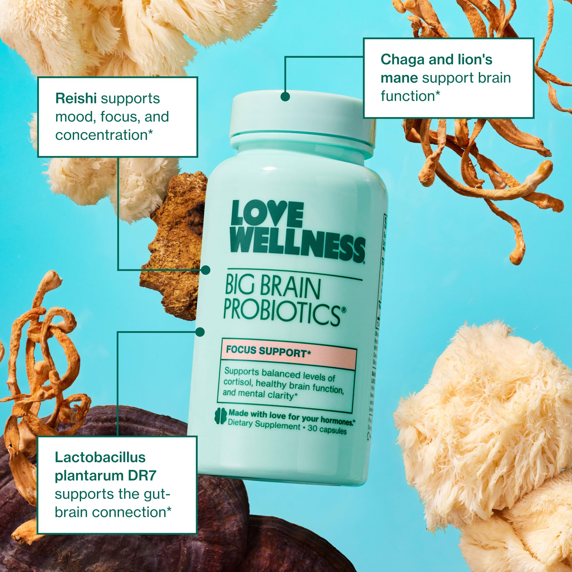 Ingredients list for Love Wellness Mind and Body Duo