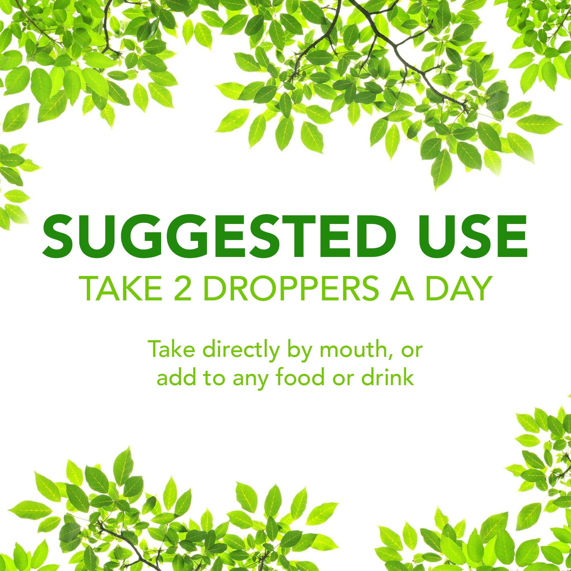 Ingredients list for Super Natural Goods Liquid Chlorophyll Drops