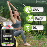 Ingredients list of JB Wellness Co Hemp Gummies